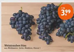 tegut Weintrauben blau Angebot