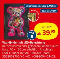 ROLLER Wandbilder mit led-beleuchtung Angebot
