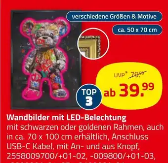ROLLER Wandbilder mit led-beleuchtung Angebot