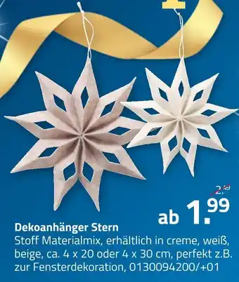 ROLLER Dekoanhänger stern Angebot
