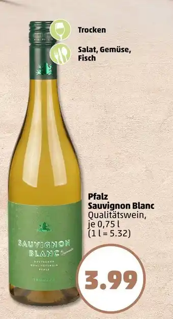 PENNY Pfalz sauvignon blanc qualitätswein Angebot