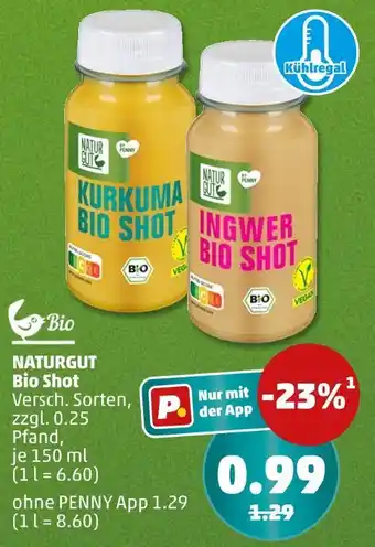 PENNY Naturgut kurkuma bio shot Angebot