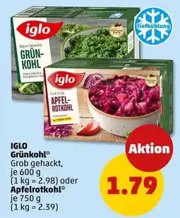 PENNY Iglo grünkohl Angebot