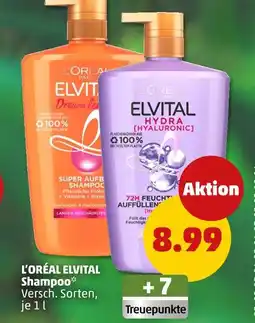 PENNY L'oréal elvital dream length shampoo Angebot