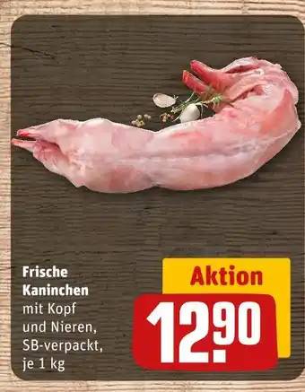 REWE Frische kaninchen Angebot