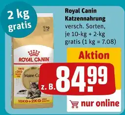 REWE Royal canin katzennahrung Angebot