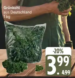 Marktkauf Grünkohl Angebot