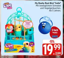 Marktkauf Little live pets my really real bird 'indie' Angebot