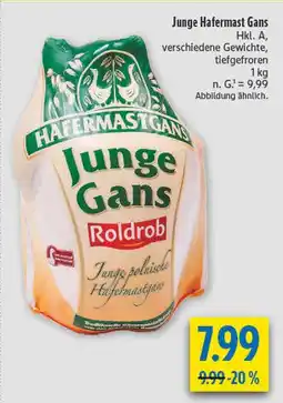 diska Roldrob junge hafermast gans Angebot