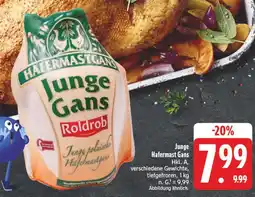E-Center Roldrob junge hafermast gans Angebot