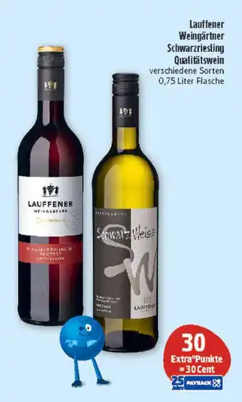 Marktkauf Lauffener weingärtner schwarzriesling qualitätswein Angebot