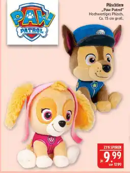 Marktkauf Paw patrol plüschtiere Angebot