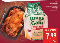 Marktkauf Roldrob junge hafermast gans Angebot