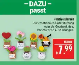 Marktkauf Positive blumen Angebot