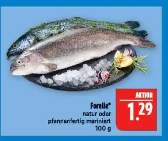 Marktkauf Forelle natur Angebot