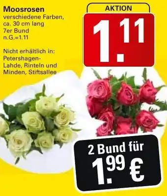 WEZ Moosrosen Angebot