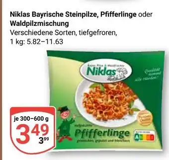 Globus Niklas bayrische steinpilze Angebot