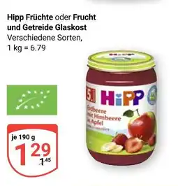Globus Hipp früchte Angebot
