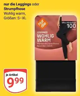Globus Nur die leggings Angebot