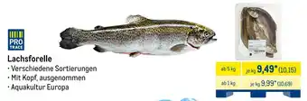 METRO Lachsforelle Angebot