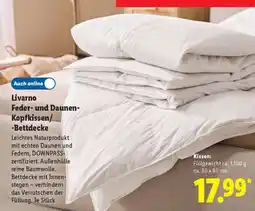 Lidl Livarno Feder- und Daunen-Kopfkissen/-Bettdecke Angebot