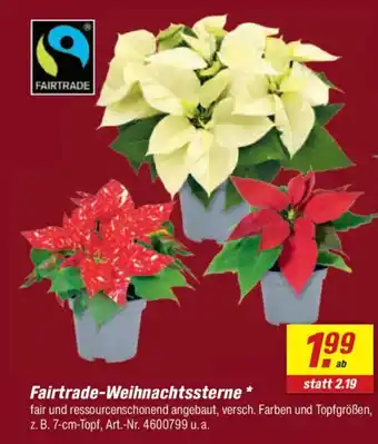 toom Baumarkt Fairtrade-Weihnachtssterne Angebot