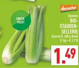 Marktkauf Demeter bio-staudensellerie Angebot
