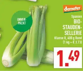 Marktkauf Demeter bio-staudensellerie Angebot