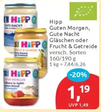 Budni Hipp Guten Morgen, Gute Nacht Gläschen oder HiPP Frucht & Getreide Angebot