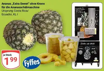 Globus Ananas ,,Extra Sweet" ohne Krone für die Ananasschälmaschine Angebot