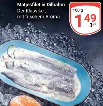 Globus Matjesfilet in Dillrahm Angebot
