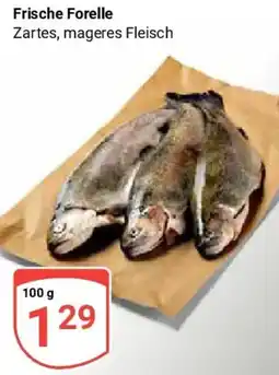 Globus Frische Forelle Angebot