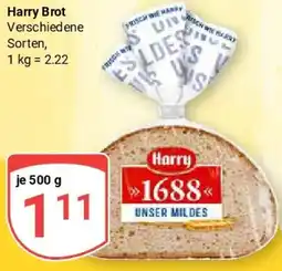 Globus Harry Brot Angebot