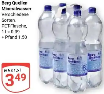 Globus Berg Quellen Mineralwasser Angebot