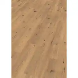 toom Baumarkt EGGER Laminat 'NatureSense' EL2067 Wildeiche natur 7 mm Angebot