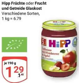 Globus Hipp Früchte oder Frucht und Getreide Glaskost Angebot