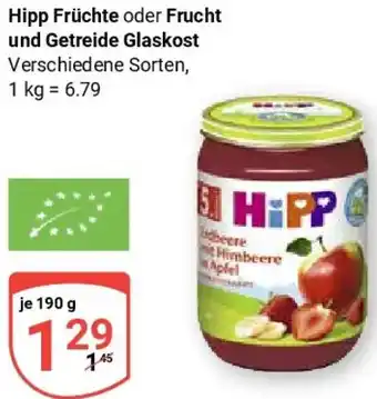 Globus Hipp Früchte oder Frucht und Getreide Glaskost Angebot