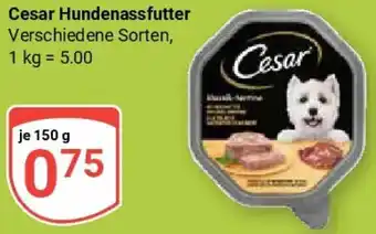 Globus Cesar Hundenassfutter Angebot