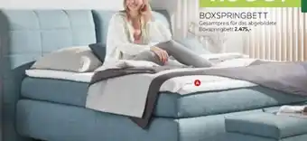 XXXLutz Dieter Knoll Boxspringbett Angebot