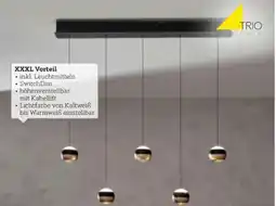 XXXLutz Trio LED-Hängeleuchte Angebot