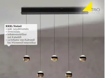 XXXLutz Trio LED-Hängeleuchte Angebot