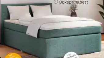 XXXLutz Boxxx Boxspringbett Angebot