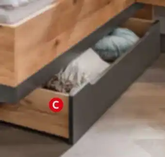 XXXLutz Bettkasten-Set Angebot