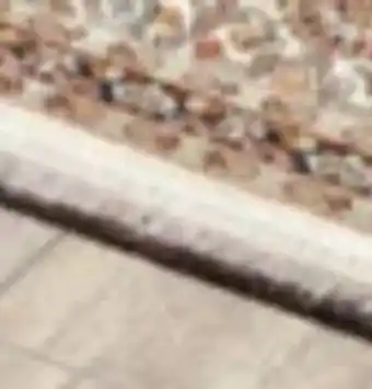 XXXLutz Cazaris Orientteppich Kashmir Classic Angebot