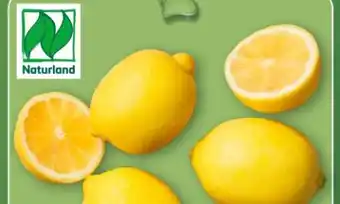 Aldi Nord Bio-Zitronen Angebot