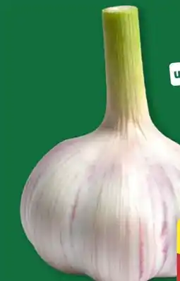 Aldi Nord Knoblauch Angebot