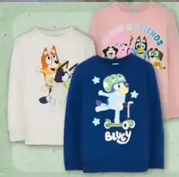 Aldi Nord Kinder Pullover Angebot