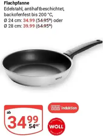 Globus WOLL Flachpfanne Angebot