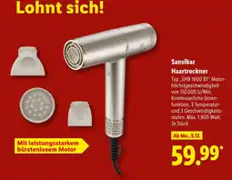 Lidl Sansibar haartrockner Angebot