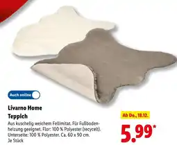 Lidl Livarno home teppich Angebot